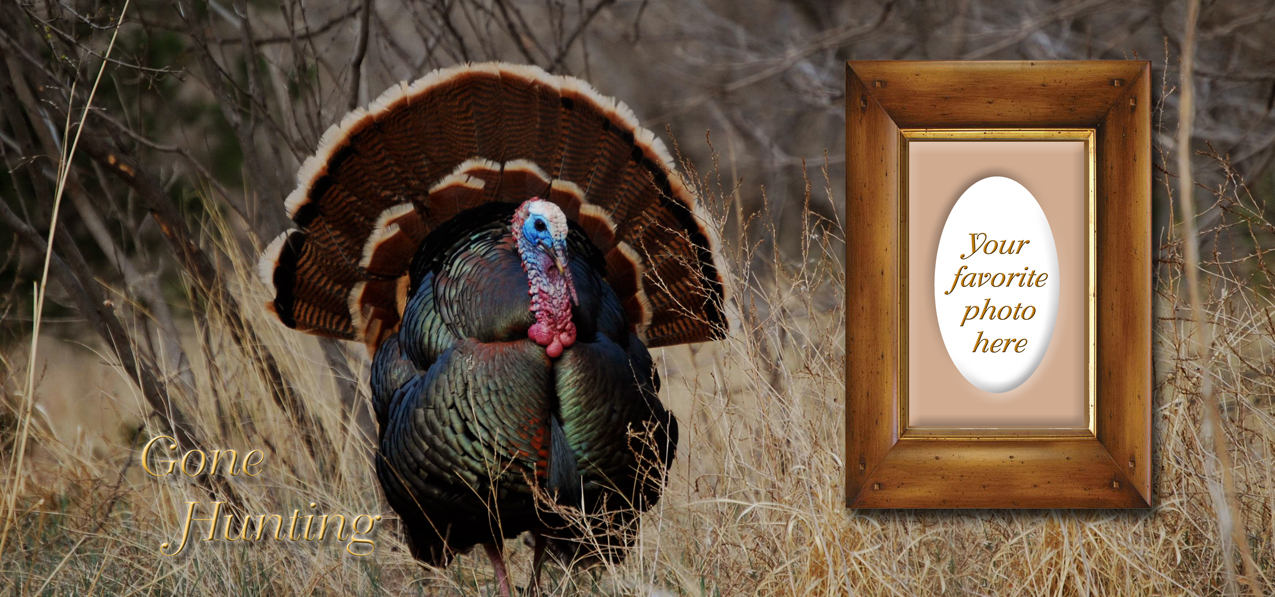 P 315 FR Gone Hunting (Turkey)